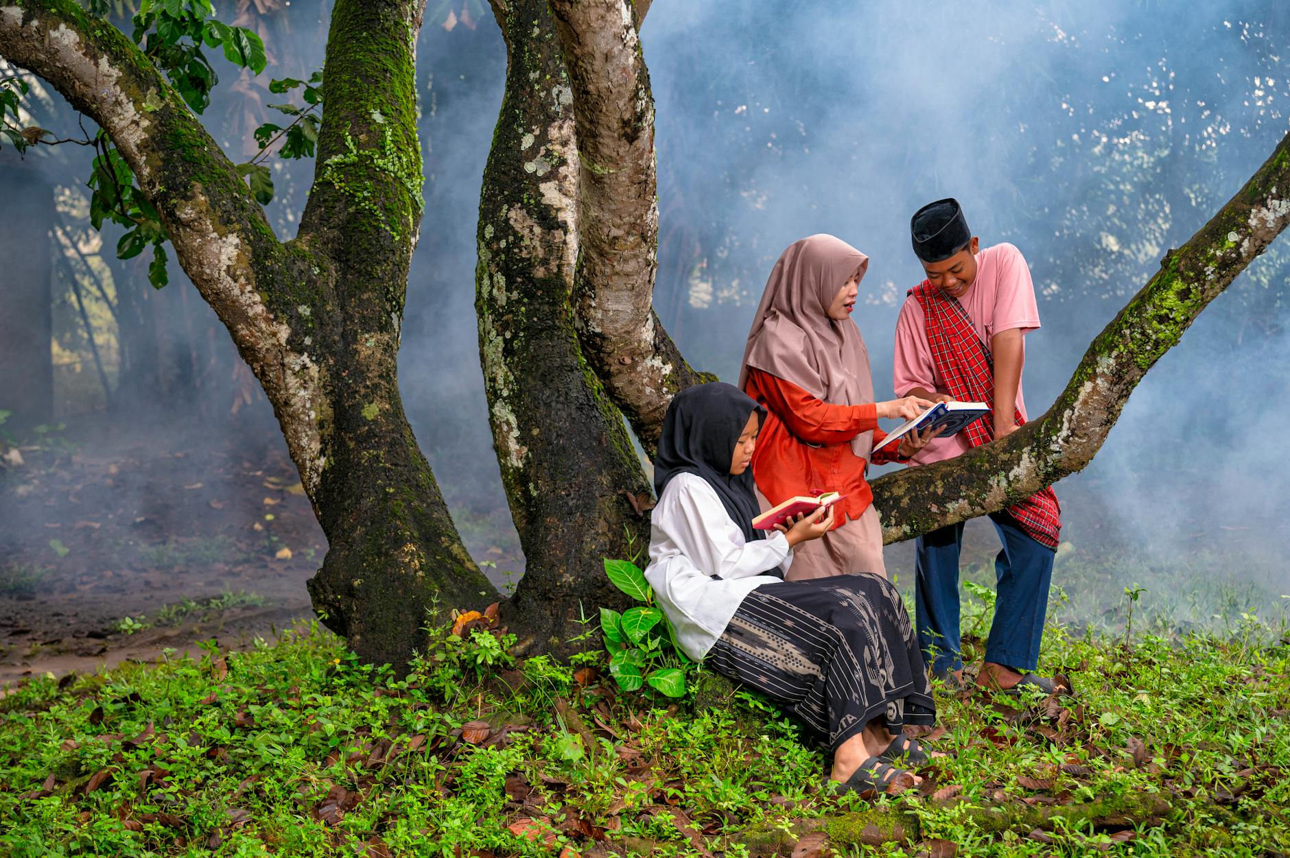 Informasi cara cek bansos terbaru 2026 dan bantuan sosial pemerintah lainnya seperti bansos pkh, bpnt, blt dana desa, umkm, dan cara daftar bantuan sosial online melalui cekbansos kemensos serta info bantuan sosial terbaru hari ini di Indonesia tahun 2026